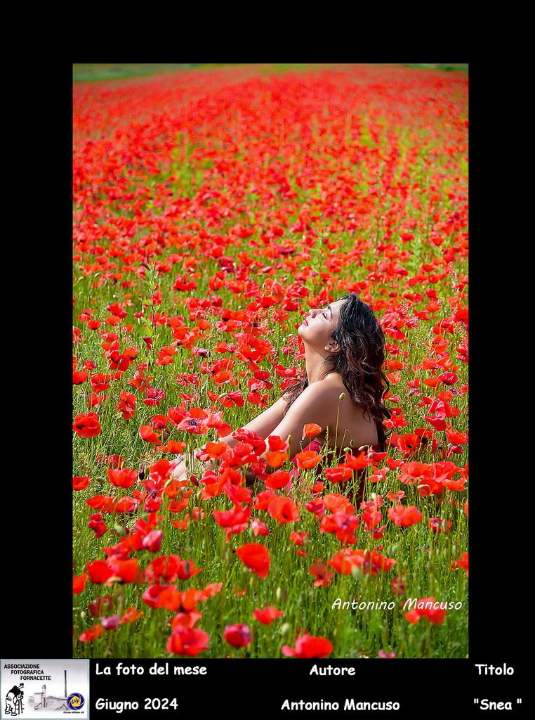 AFF fptp del mese Giugno 24