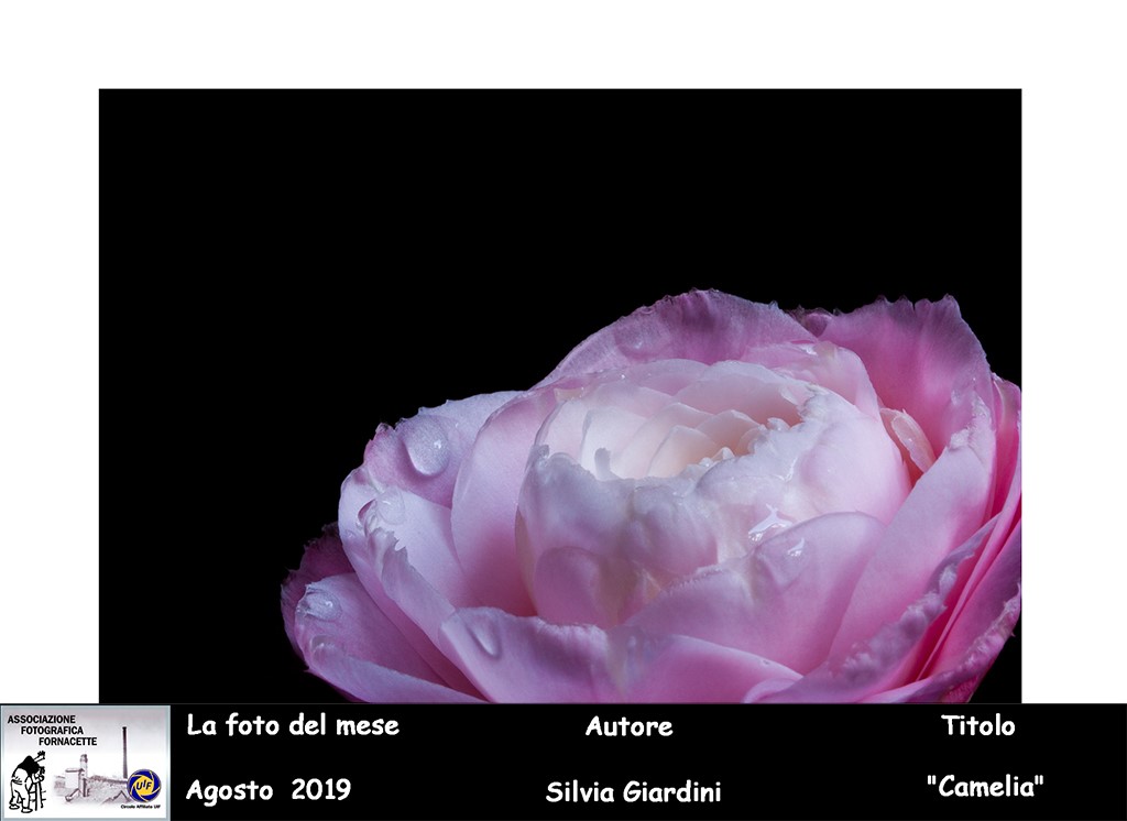aff foto del mese agosto 2019