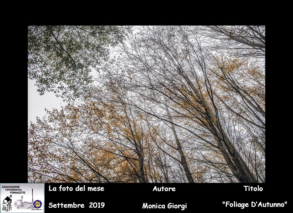 foto del mese aff settembre 2019