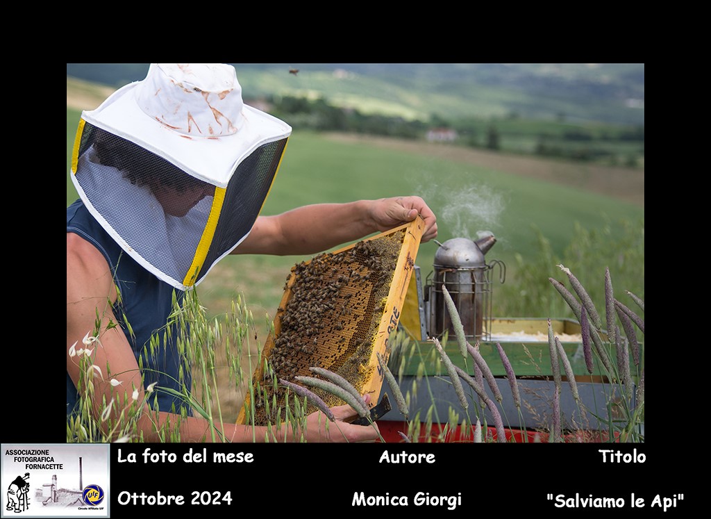 AFF foto del mese ottobre 2024