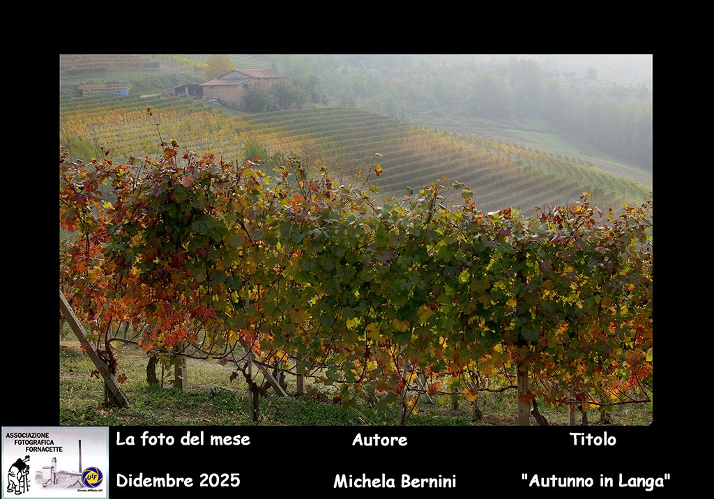 foto del mese dic 25