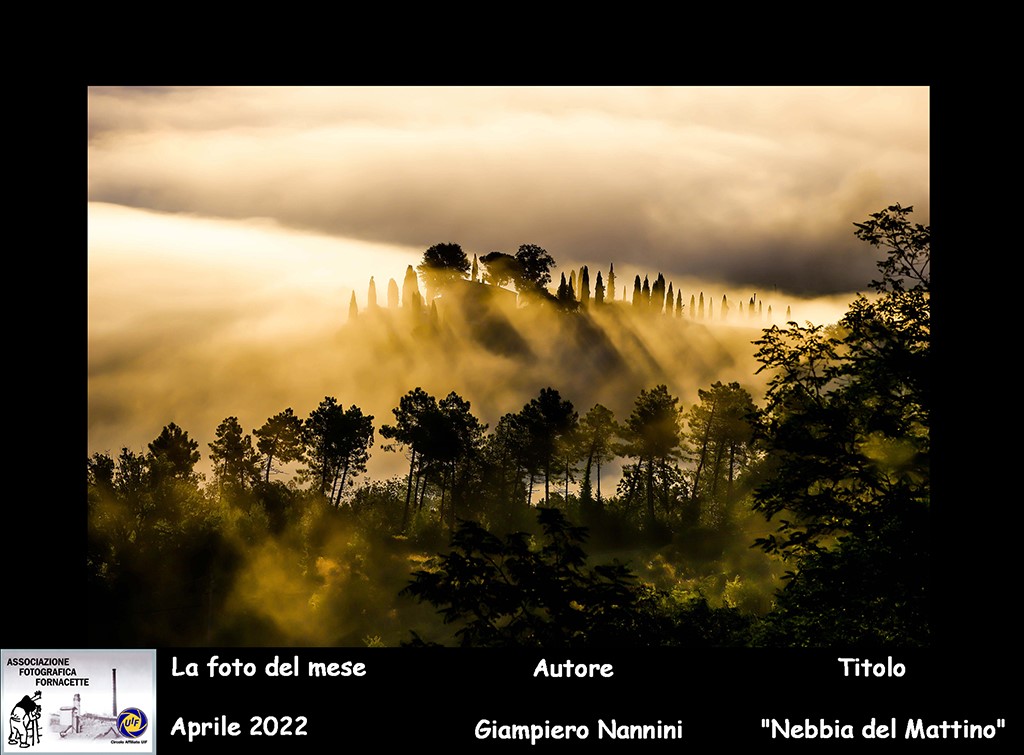 aff foto mese di aprile 2022