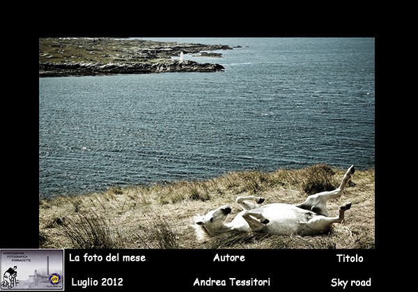 AFF_luglio_2012