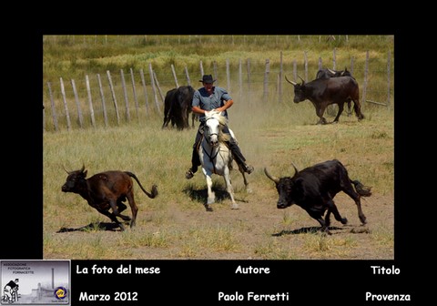 AFF_marzo_2012