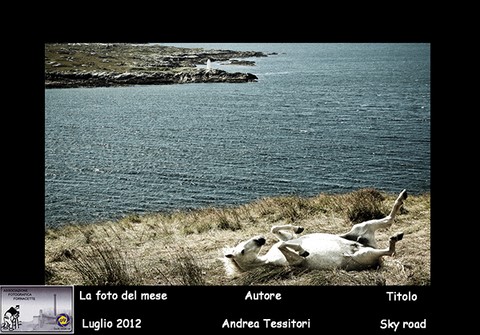 AFF_luglio_2012