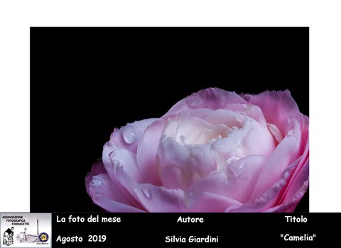 aff foto del mese agosto 2019