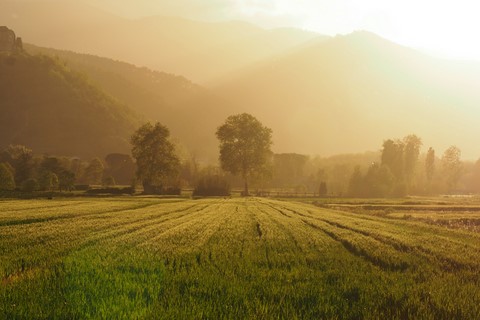 foto chianni 2018 30