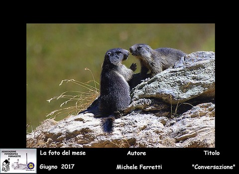 Giugno 2017