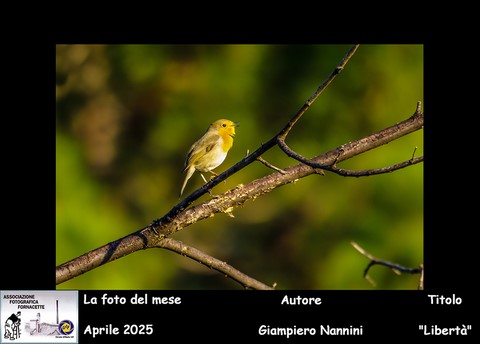 AFF FOTO DEL MESE APRILE 2025