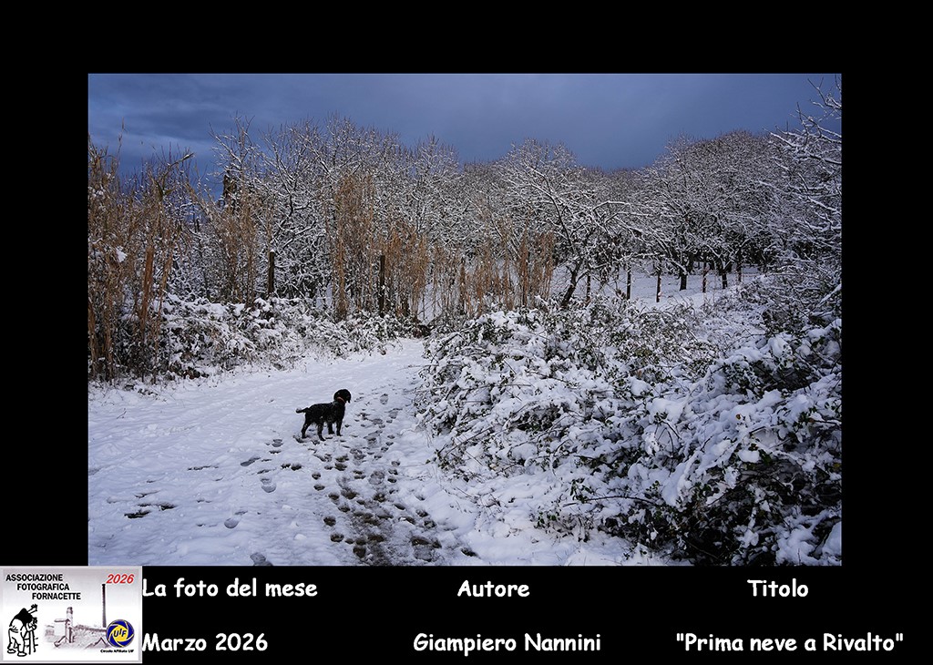 foto del mese aff marzo 2026