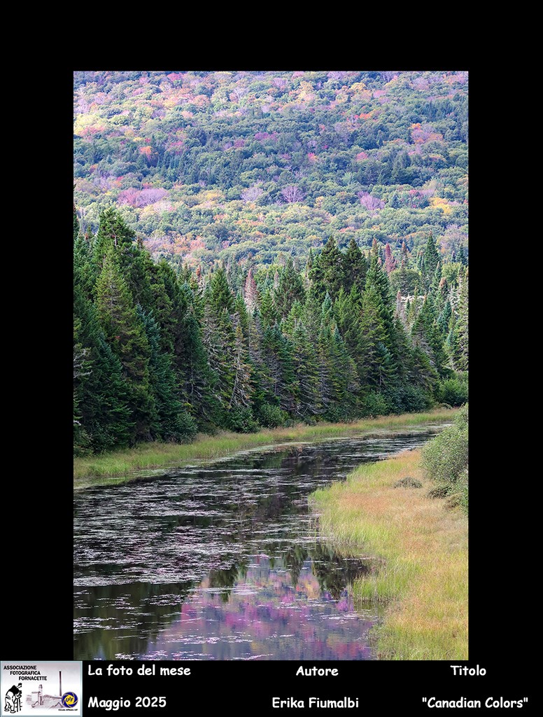 aff foto del mese maggio 2025