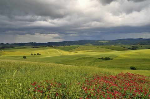 enrico_lazzeroni1